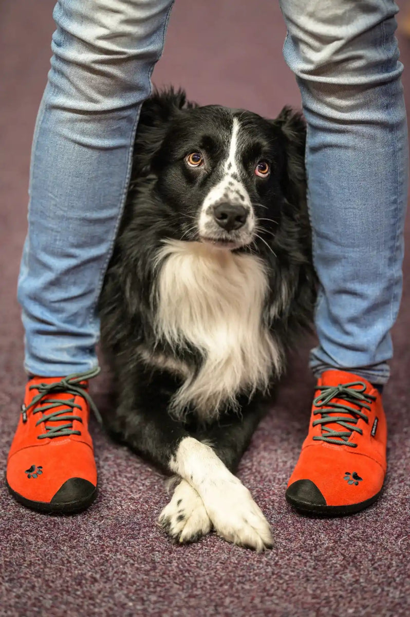 Saltic | Dog | Barfotaskor för hundsport Saltic TJÅKKO