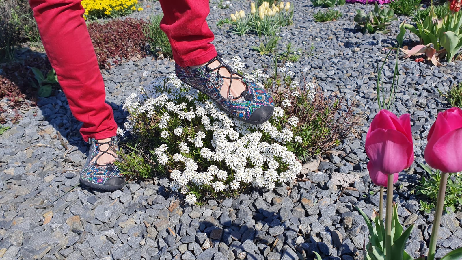 Saltic | Arwen Läder | Ballerinasko med utbytbar sula Saltic TJÅKKO